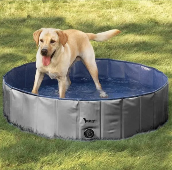 piscină